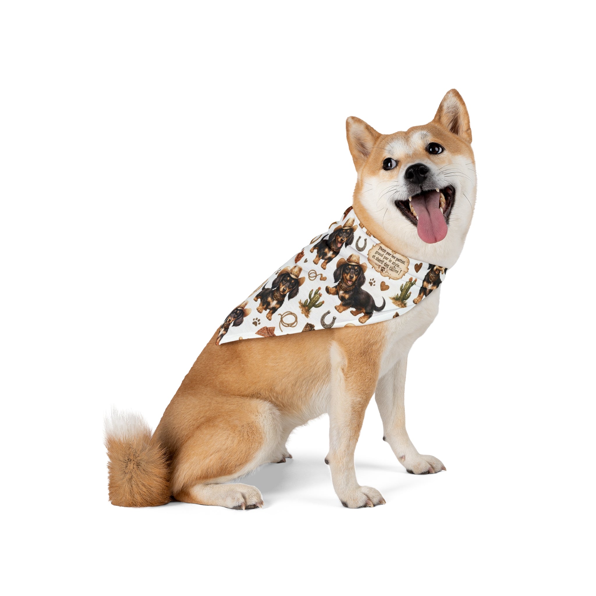 Bandana Teckel - Pattern Teckel Cowboy