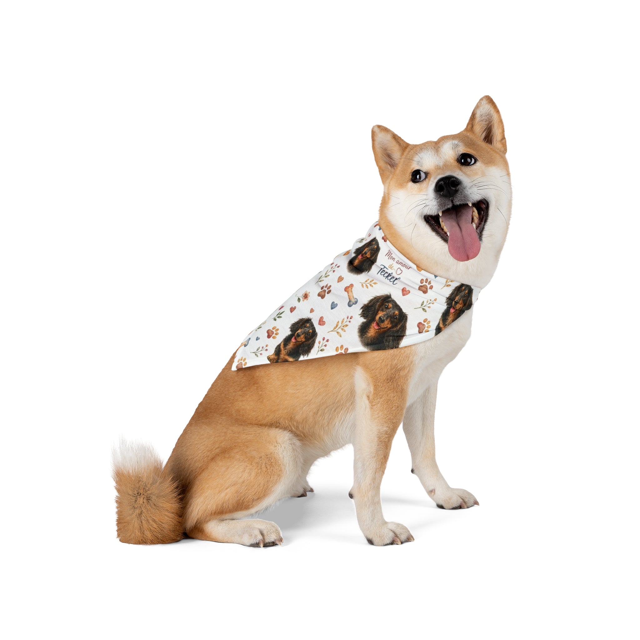 Bandana pour animaux de compagnie à motif teckel « J'aime mon teckel »