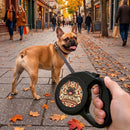 Laisse rétractable pour Frenchie — Bouledogue français