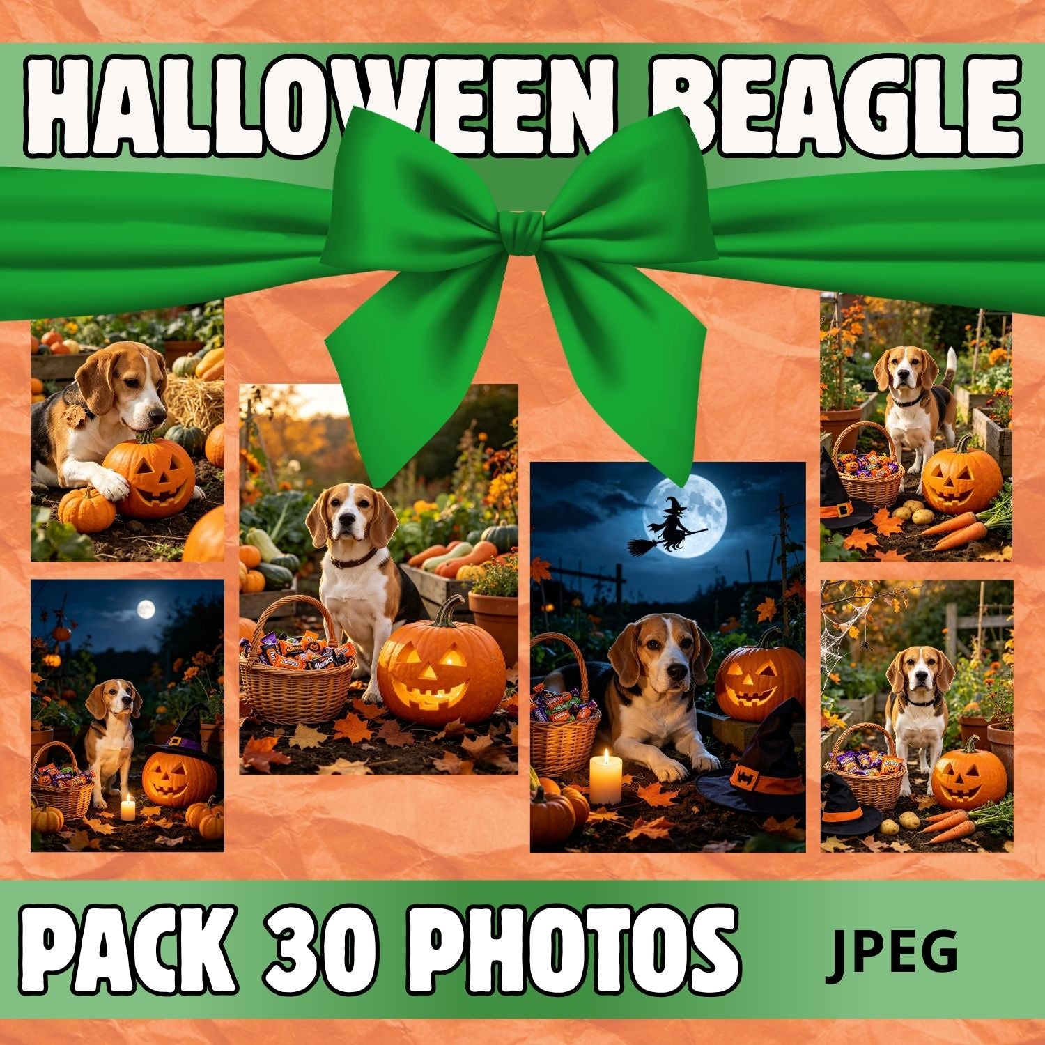 Pack 30 Photos JPEG Beagle Halloween