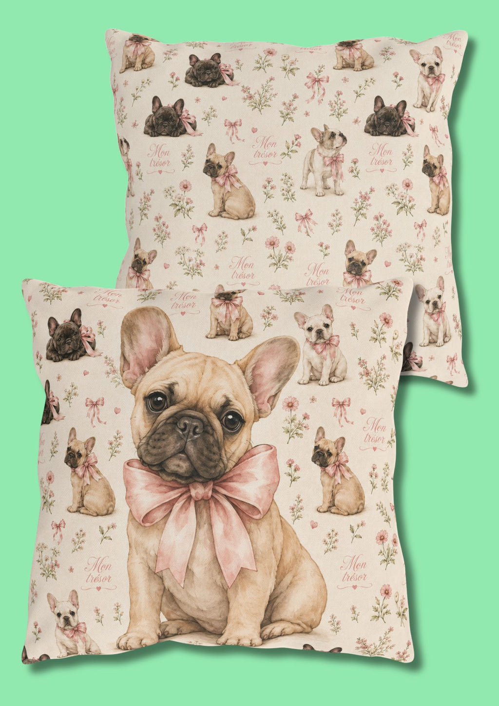 Oreiller Exterieur Bouledogue Francais - Bouledogue Francais Mon Tresor