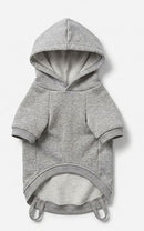 Sweat à capuche pour chien Teckel