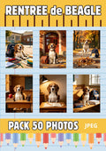 Pack 50 Photos JPEG Beagle Ecole