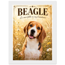 b639dde5-c647-4553-bea3-3632ac6b618c